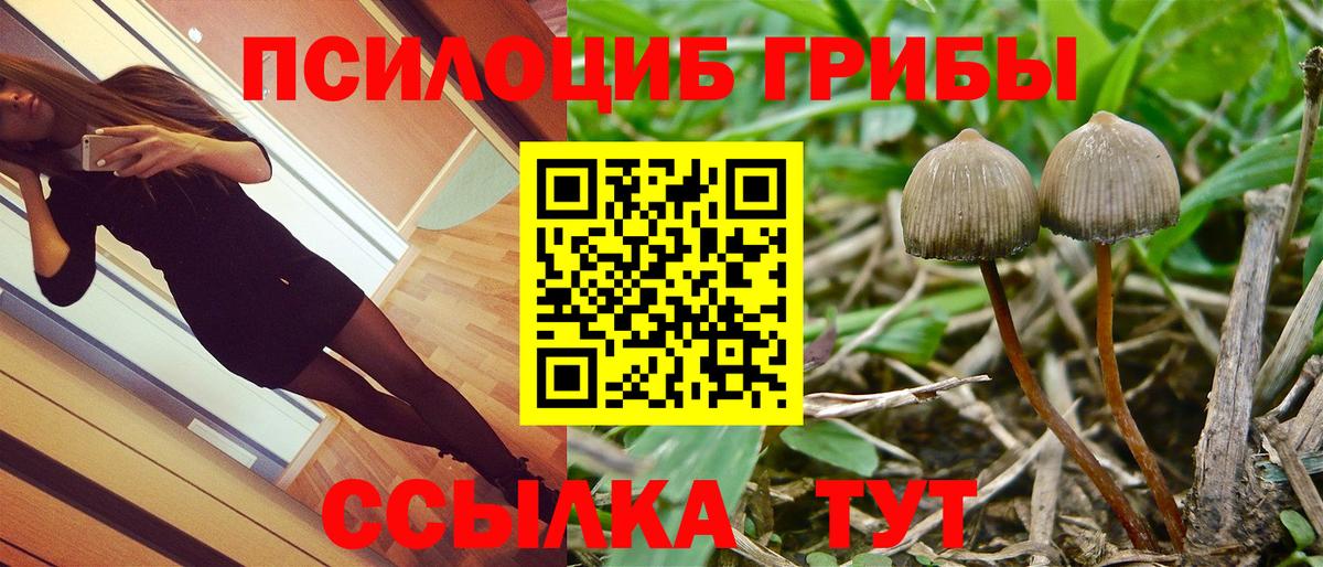 Комсомольск-на-Амуре  Псилоцибиновые грибы Psilocybe  Вход с VPN  Псилоцибиновые грибы Psilocybe 