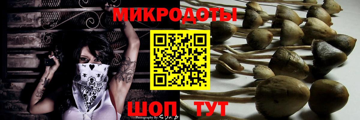 Псилоцибиновые грибы мухоморы Комсомольск-на-Амуре
