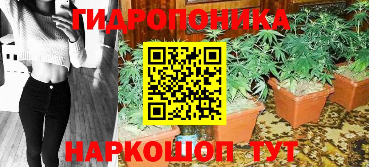 Канабис ГИДРОПОН  Вход с VPN  Бошки Шишки Bruce Banner  Бошки Шишки OG Kush  Комсомольск-на-Амуре 